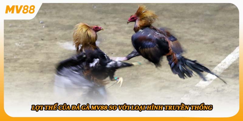 Lợi thế của đá gà mv88 so với loại hình truyền thống